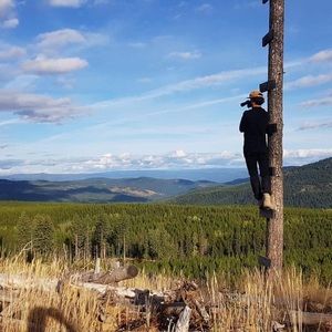 Meet your Posher, Aloysius